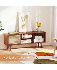 Gouun Bamboo and Rattan 47.5-Inch Sliding Door Tv Stand