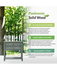 Hulala Home Aristidh Traditional 30"Tall Solid Wood 2-Drawer End Table with Built-in Charging Outlets