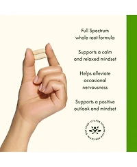 Swanson Ashwagandha Root Powder Supplement, Stress Relief and Energy Support, Ayurvedic Natural Wellness, 450 mg, 100 Capsules