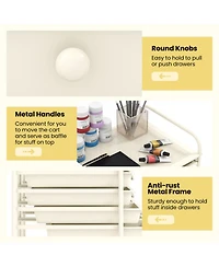 Gouun 12-Drawer Multi-Purpose Rolling Cart with Removable Drawers and Top Storage