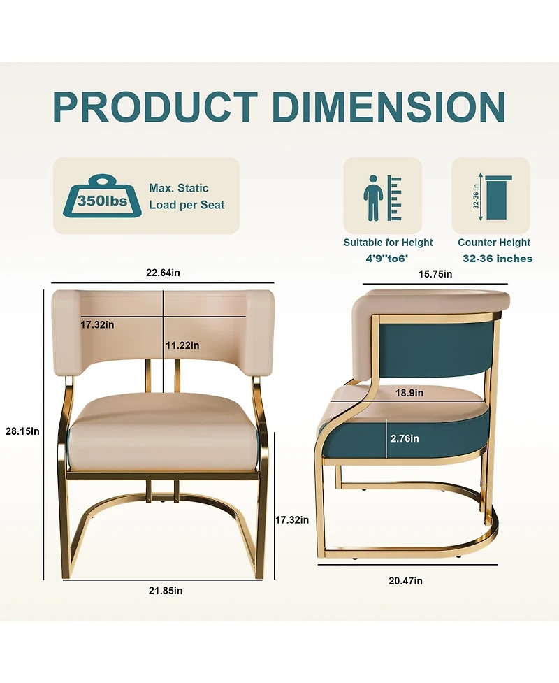 Rainsken Modern Dining Chairs Set of 2