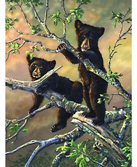 SunsOut on a Limb 300 piece Jigsaw Puzzle for Adults