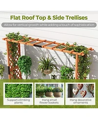 Gouun 77-Inch Raised Garden Bed with Arch Trellis and Hanging Roof