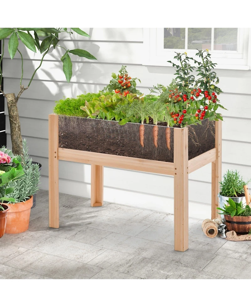 Gouun Fir Wood Raised Garden Bed with Acrylic Side Panels