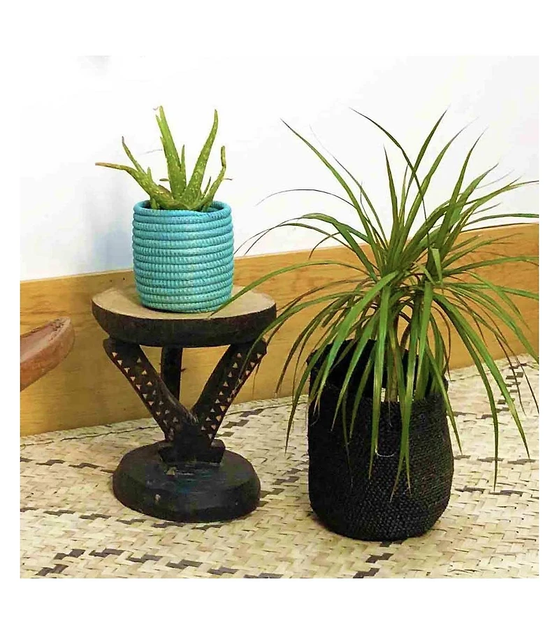 Mbare Succulent Basket Planter
