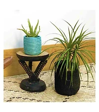 Mbare Succulent Basket Planter