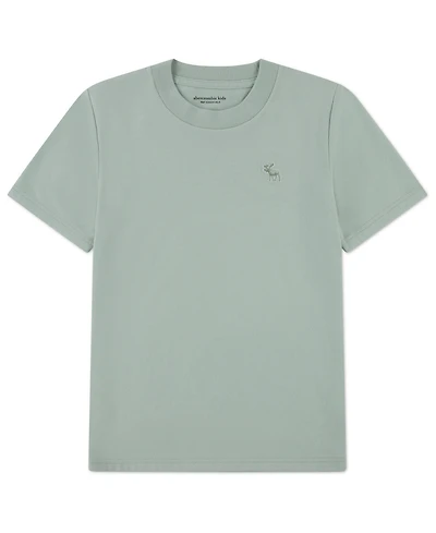 abercrombie kids Boys Essential T-Shirt