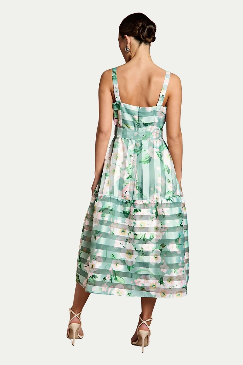 Coast Women's Burnout Organza Midi Dress