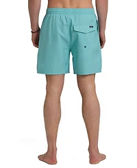 Quiksilver Men's Everyday Straight-Fit Swim Shorts