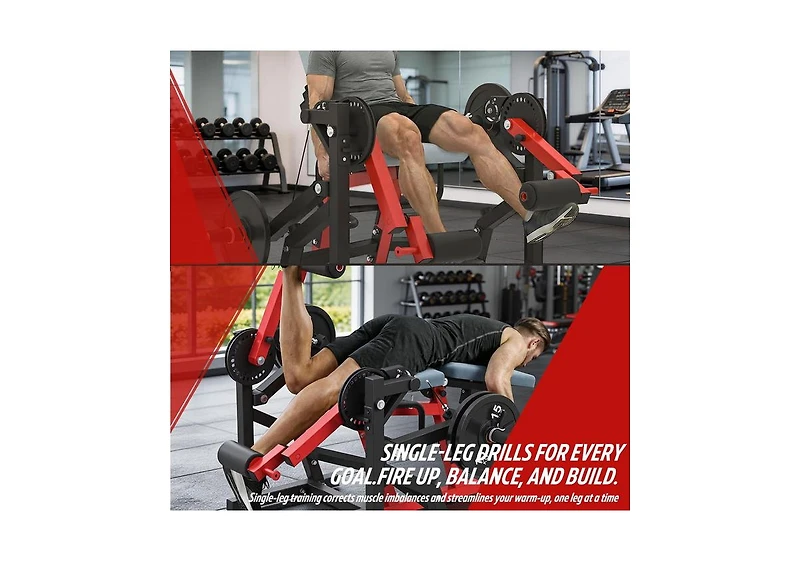 Aecojoy Leg Extension and Curl Lower Body Workout Machine Convertible Seated Extension and Lying Curl Bench