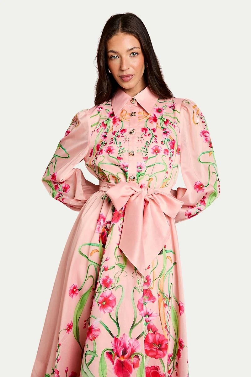 Coast Women's Border Print Organza Shirt Dress