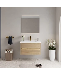 Sillysis Wall Mounted Bathroom Vanity with Stone Resin Sink, Soft Close Drawers