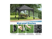 Boyel Living 10 X Ft Pop up Canopy Tent with 4 Removable Sidewalls