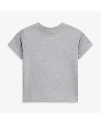 Soft As A Grape Toddler Heather Gray/Heather Gray Chicago Cubs Cooperstown Collection Two-Pack T-Shirt Set