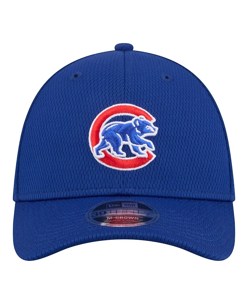 New Era Men's Royal Chicago Cubs Dash 39THIRTY Flex Hat