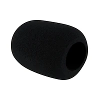 Electro-Voice RE20 Variable-d Dynamic Cardioid Microphone, 45-18000Hz Frequency Response