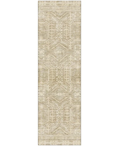 Addison Mayfield AMF1920 2'3"x7'6" Runner