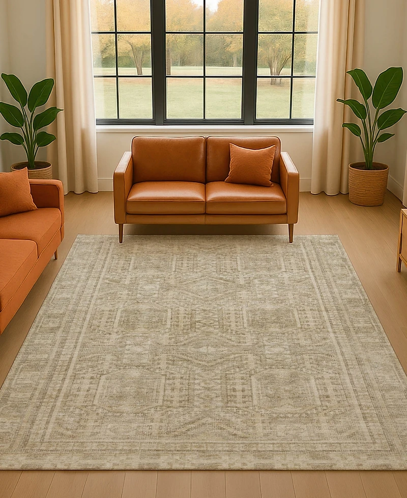 Addison Mayfield AMF1920 3'x5' Area Rug