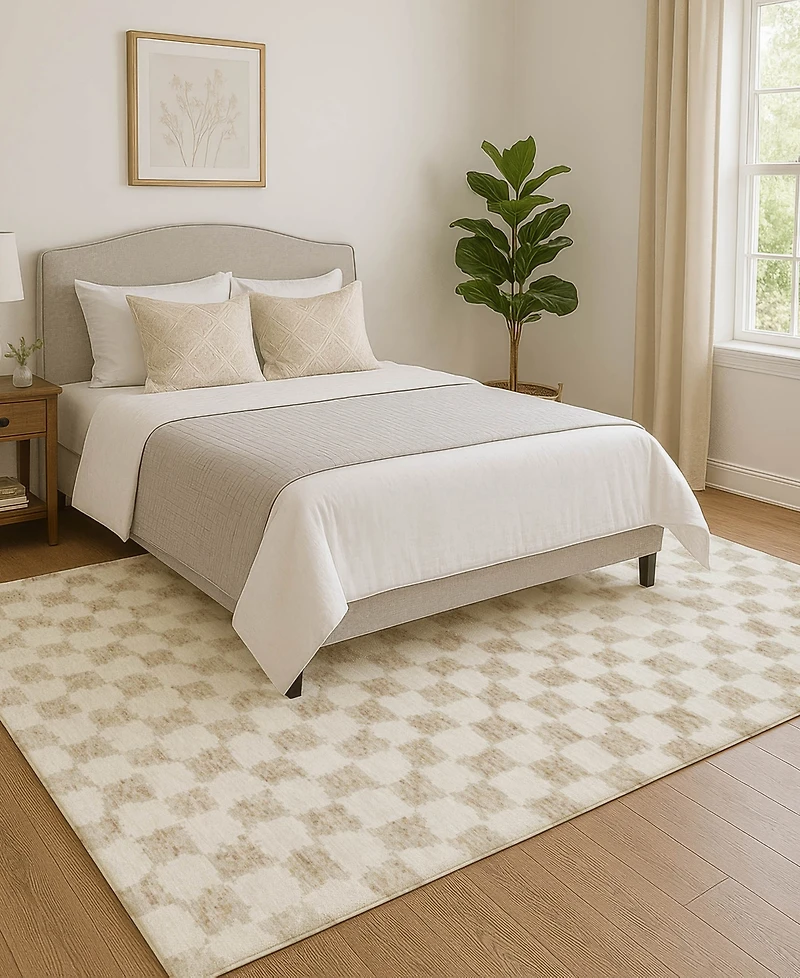 Addison Mayfield AMF1958 3'x5' Area Rug