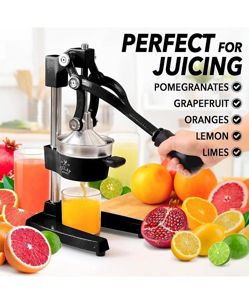 Professional Citrus Juicer + 2 in 1 Lemon Squeezer Complete Set