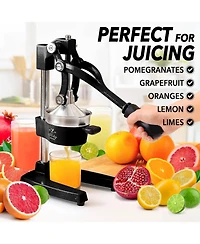 Professional Citrus Juicer + 2 in 1 Lemon Squeezer Complete Set