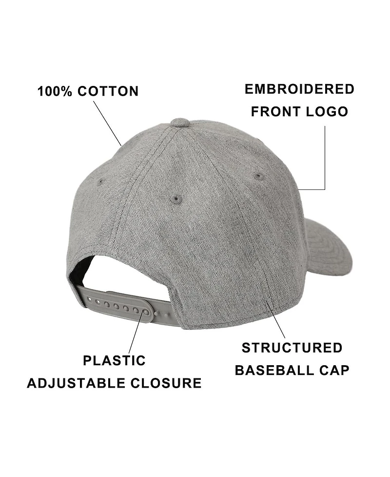 Dungeons & Dragons Men's Embroidered Logo Gray Traditional Adjustable Hat