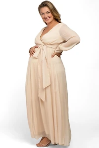 Pinkblush Plus Cream Metallic Chiffon Maxi Dress