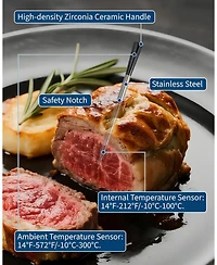 Xo Wireless Meat Thermometer, Bluetooth Single Probe, 820 ft Range, App Control for Grill Smoker