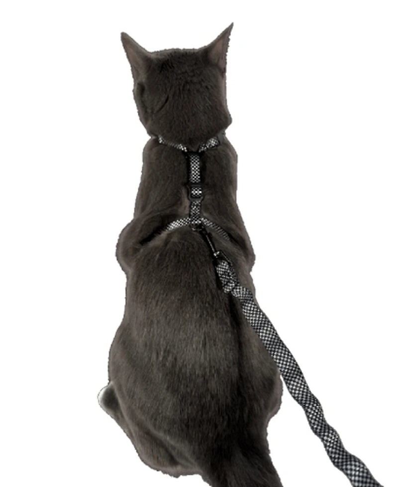 Travel Cat The Day Tripper Adjustable H-Style Harness and Bungee Leash Set