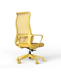 Streamdale Furniture Ergonomic Colorful High-Back Mesh Office Chair with Lumbar Support
