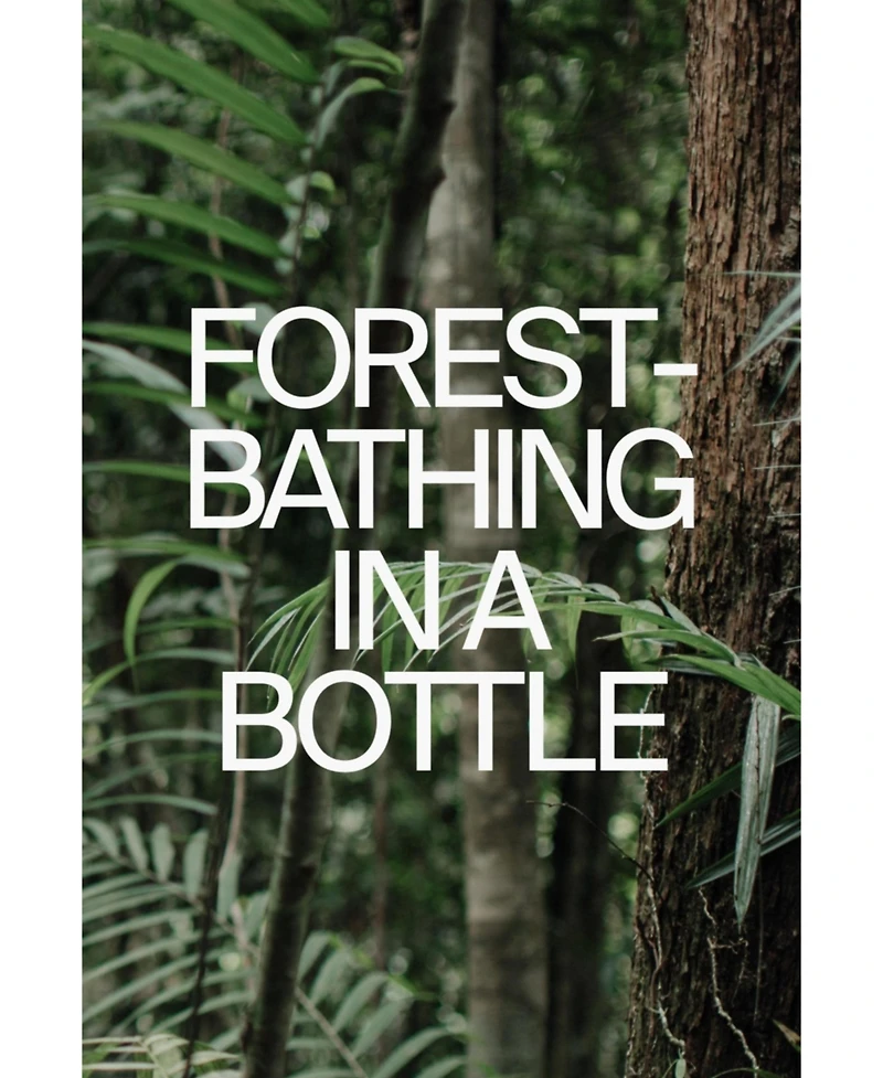 Costa Brazil Aroma Jungle Eau De Parfum