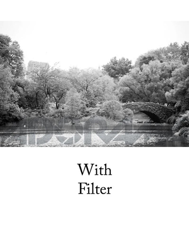 Tiffen 62mm #8 Glass Filter