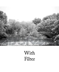 Tiffen 62mm #8 Glass Filter