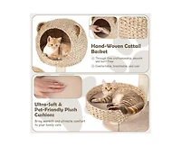 Aostirmotor Multi-Level Cat Tree with Condo, Hammock & Rotatable Hanging Balls