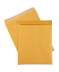 Gnuadz 7 Business Envelope Peel Seal Manila Coin
