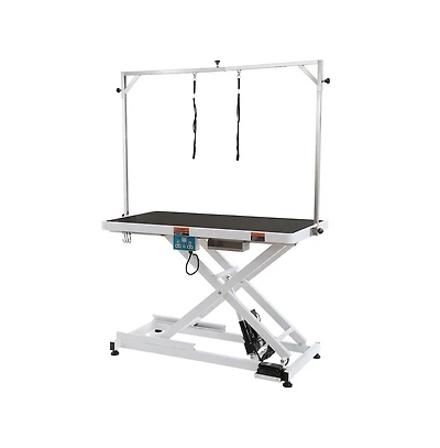 Ruie 50 inch Electric Pet Grooming Table Height Adjustable for Large Dogs