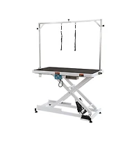 Ruie 50 inch Electric Pet Grooming Table Height Adjustable for Large Dogs