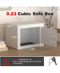 Clihome Mini Storage Cabinet Secure Safe With Key and Password for Home Use