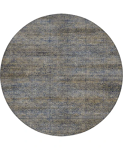 Dalyn Vico VC9 8'x8' Round Area Rug