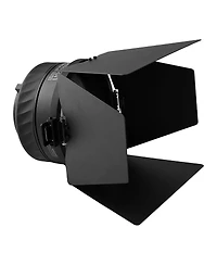 amaran Mini Fresnel and Barn Doors for Ray 60c and 120c Cob Light