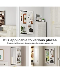 Phying Wall Mounted Full Length Mirror Multi-Functional Push Pull Design Space Saving Panel Mirror for Bedroom Living Room Entrance Decor