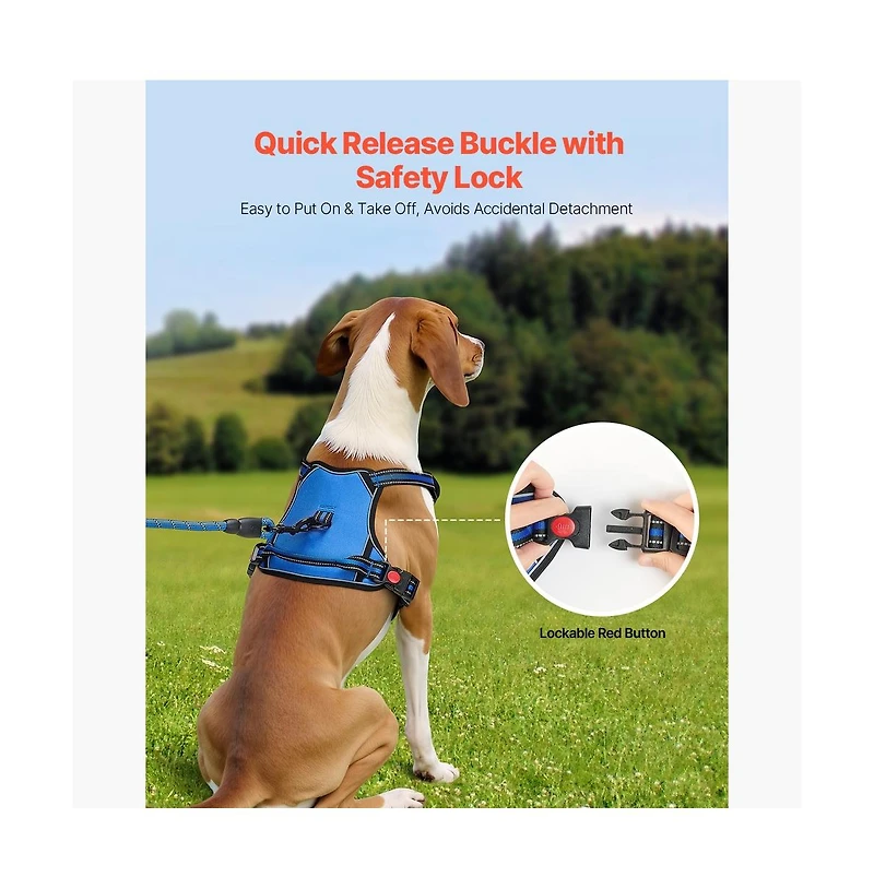 Ruie No Pull Adjustable Dog Vest Harness for Large Dogs with 5 ft Leash and Handle