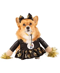 Jerry Leigh Pittsburgh Steelers Cheer Dog Costume