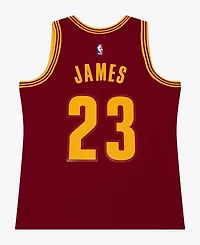 Mitchell & Ness Men's LeBron James Wine Cleveland Cavaliers 2015-16 Swingman Jersey