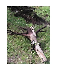 Brush Grubber Bg-11 Xtreme Brush and Tree Stump Puller Remover Tool Handles