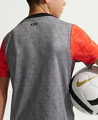 Nike Big Boys and Girls Gray Chelsea 2025/26 Academy Pro Pre-Match Top