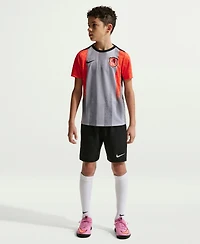 Nike Big Boys and Girls Gray Chelsea 2025/26 Academy Pro Pre-Match Top