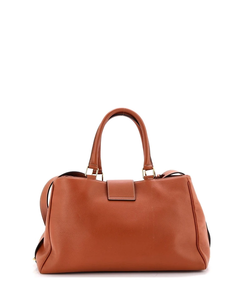 Pre-Owned Celine Medium Appoline Handbag Calfskin