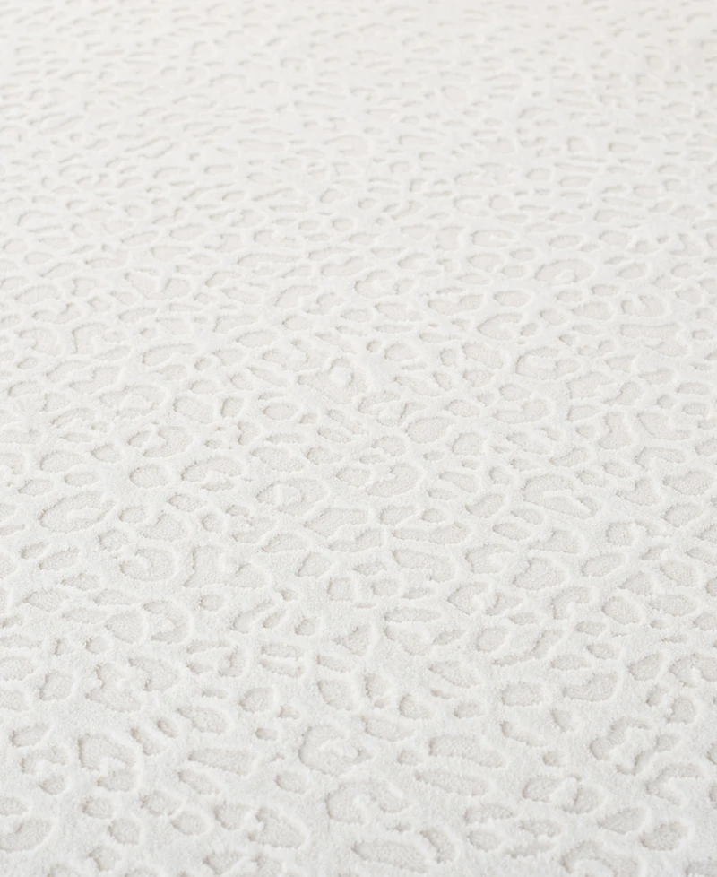 Lauren Ralph Lauren Butler LRL1176A 5'X7' Area Rug
