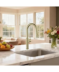 Phying Kitchen Faucet with Pull Down Sprayer